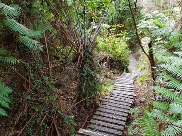 Fensham Reserve